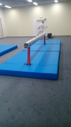Žíněnka gymnast.200x125x13cm /IGELKA/