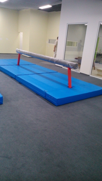 Žíněnka gymnast.200x125x13cm /IGELKA/
